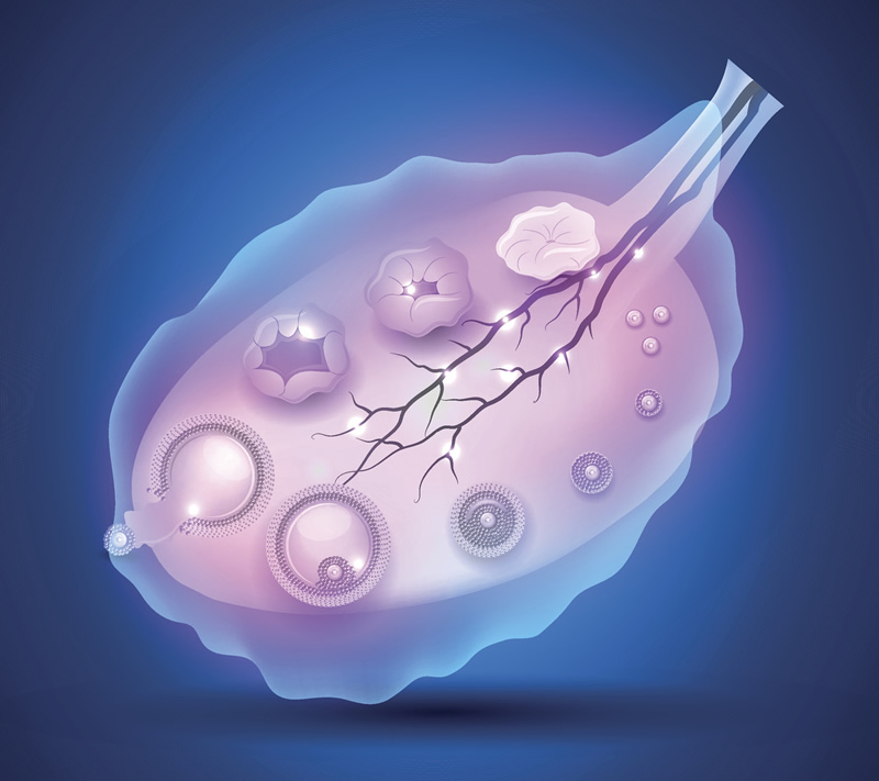 泰国试管婴儿真实报价大公开？内附服务费用